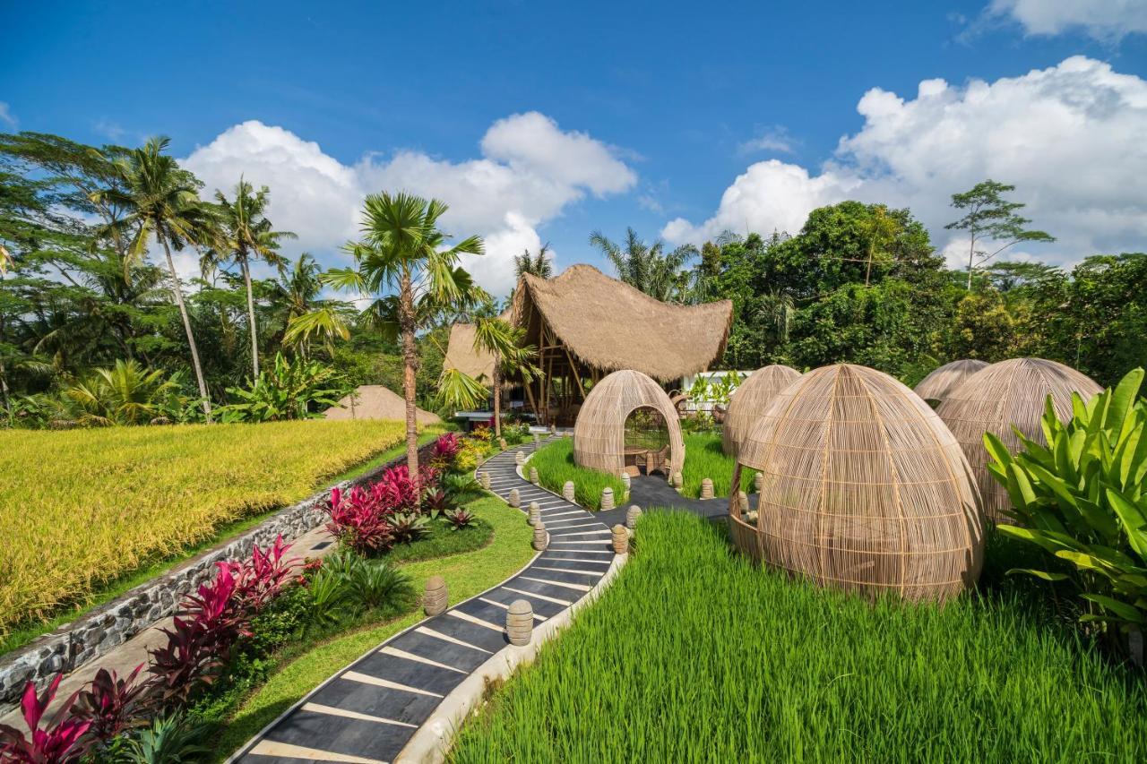 Keliki Luxury Lodge Ubud Extérieur photo