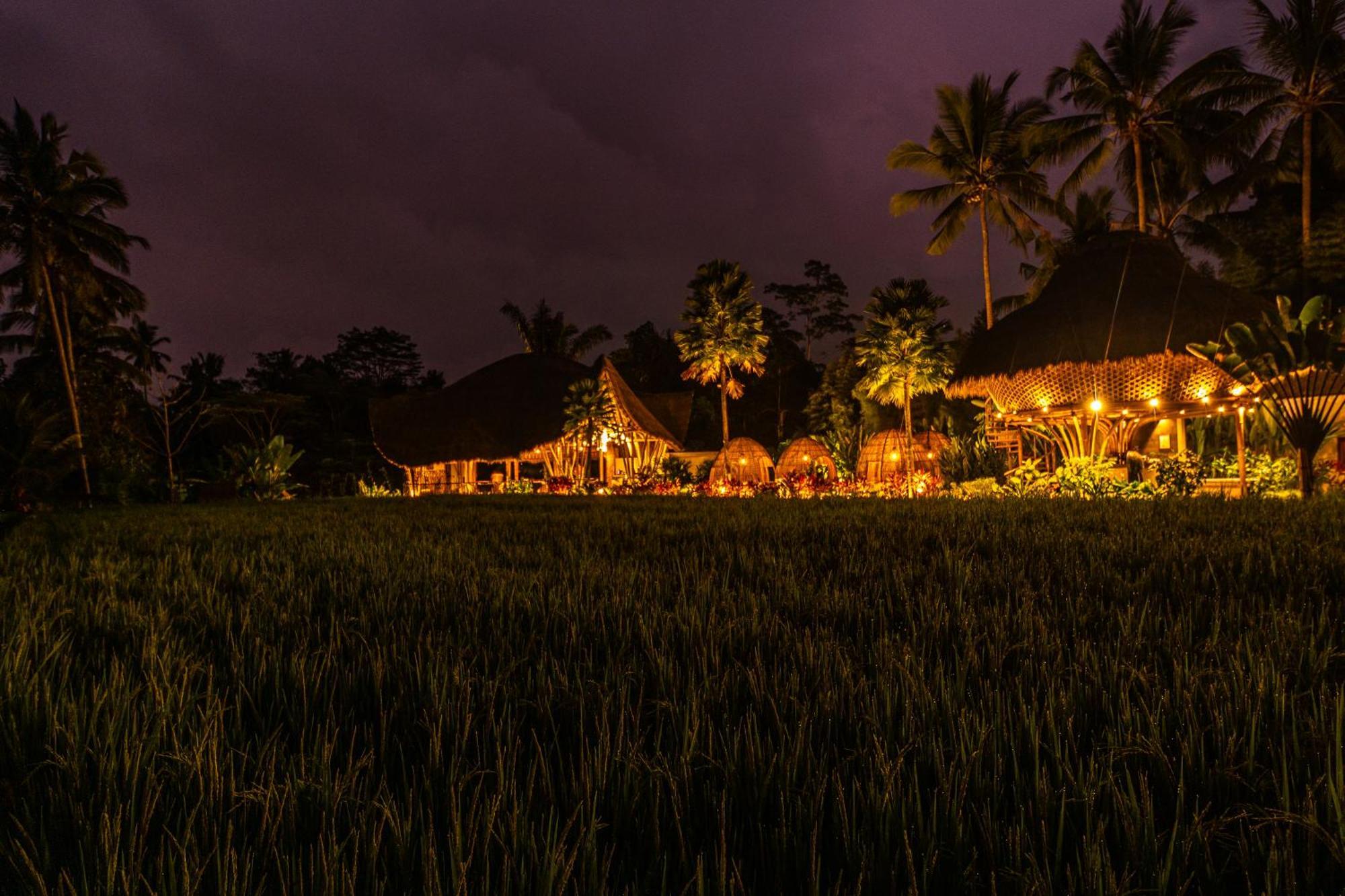 Keliki Luxury Lodge Ubud Extérieur photo